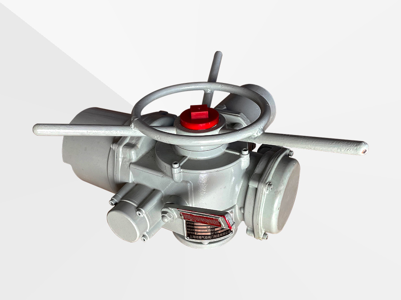 SWHZD/XY5-20AL電動(dòng)執(zhí)行器